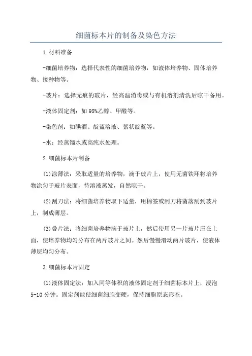 细菌标本片的制备及染色方法