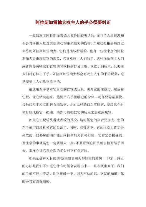 阿拉斯加雪橇犬咬主人的手必须要纠正