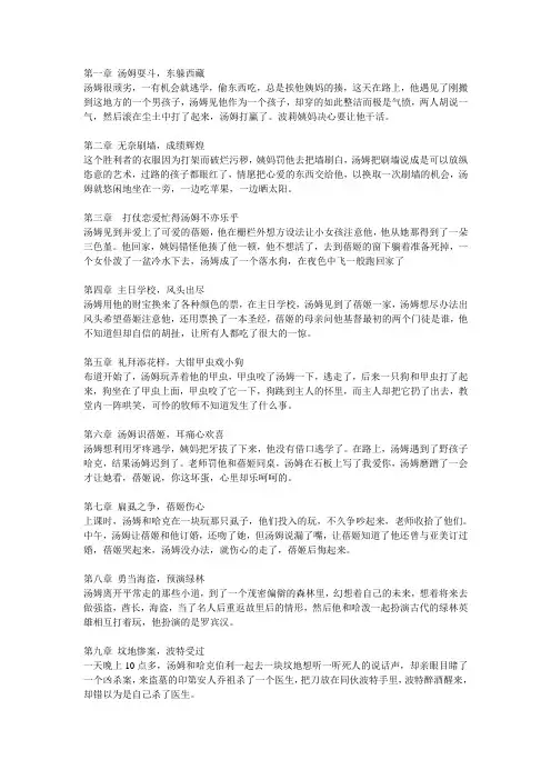 汤姆索亚历险记1-35主要内容