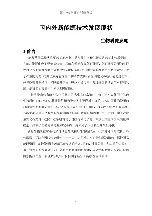 国内外新能源技术发展现状