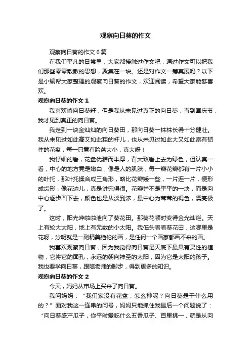观察向日葵的作文6篇