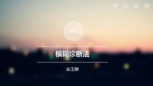 模糊诊断法