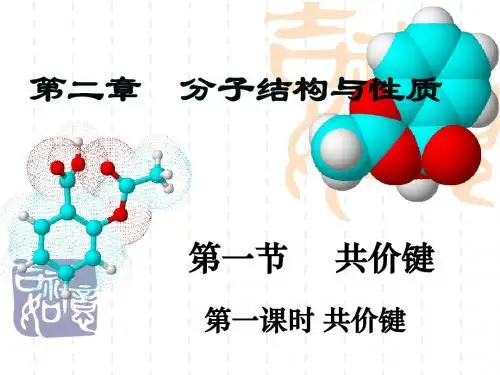 第二章第一节共价键课件