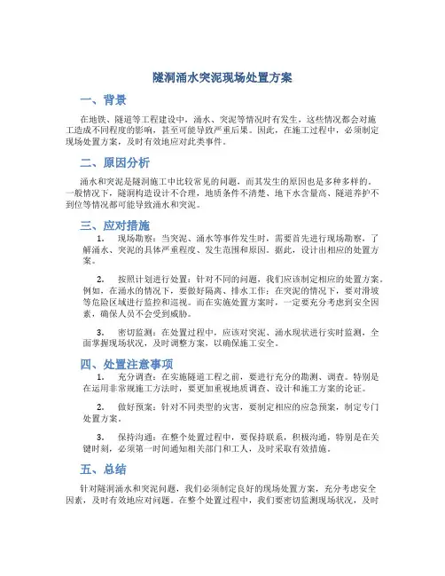 隧洞涌水突泥现场处置方案