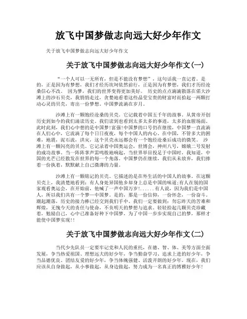 放飞中国梦做志向远大好少年作文