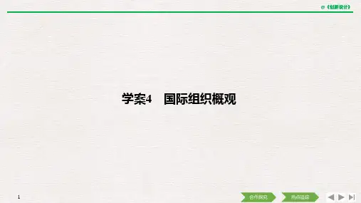 19-20版：1.4 国际组织概观（创新设计）