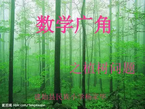 人教数学四下8数学广角课件