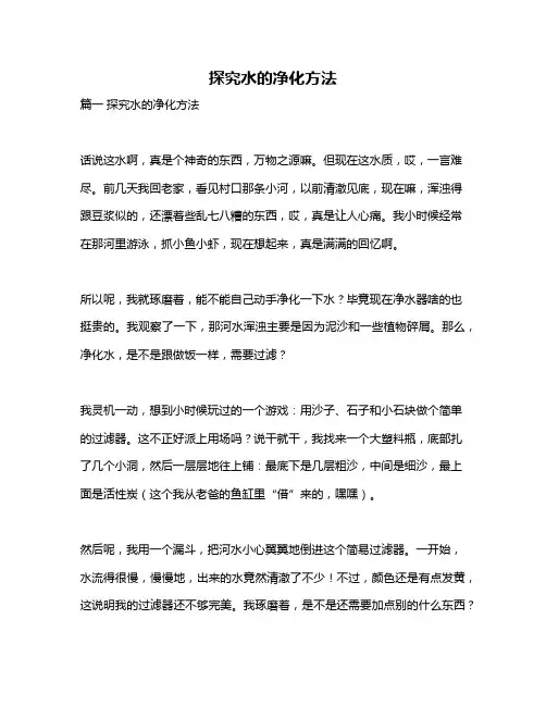 作文《探究水的净化方法》