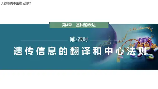 4-1-2遗传信息的翻译和中心法则(教学课件)——高中生物人教版(2019)必修第二册