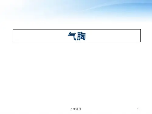 气胸  ppt课件