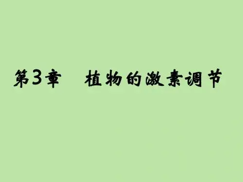 植物的激素调节ppt31 精品课件