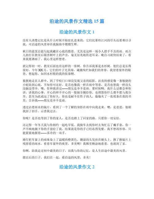 沿途的风景作文精选15篇