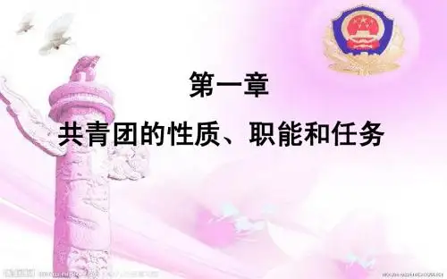 111共青团的性质和任务 li