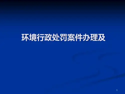 环境行政处罚案卷制作PPT课件