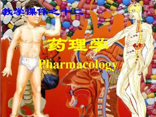 甲状腺激素及抗甲状腺药
