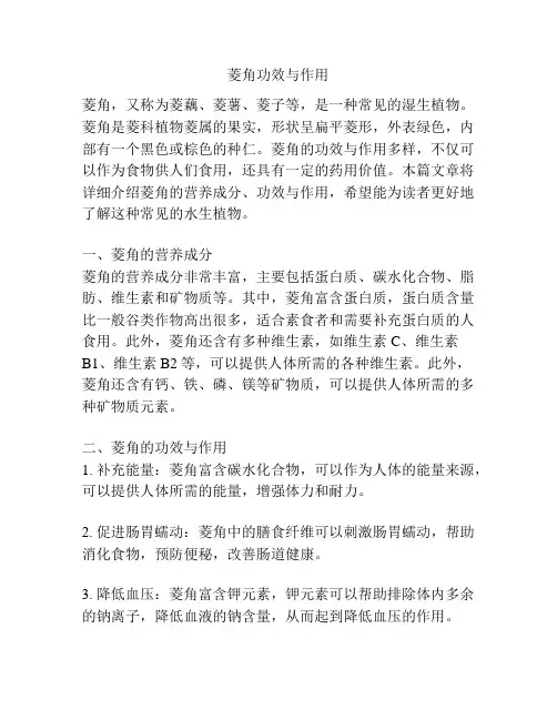 菱角功效与作用