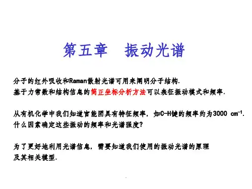 第五章  振动光谱ppt课件