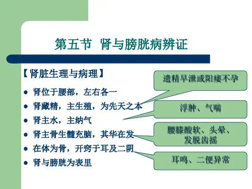 中医学基础课件-肾与膀胱辨证