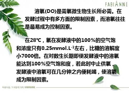 溶解氧对发酵的影响及控制ppt课件