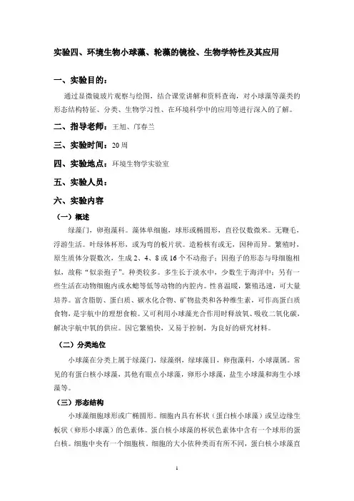 实验4-小球藻