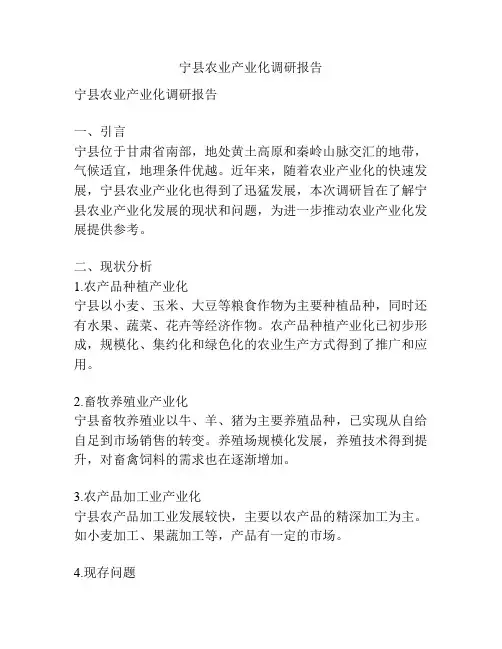 宁县农业产业化调研报告