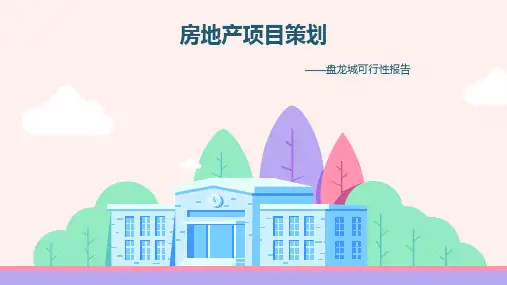 武汉盘龙城房地产项目策划