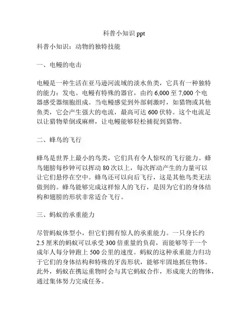 科普小知识ppt