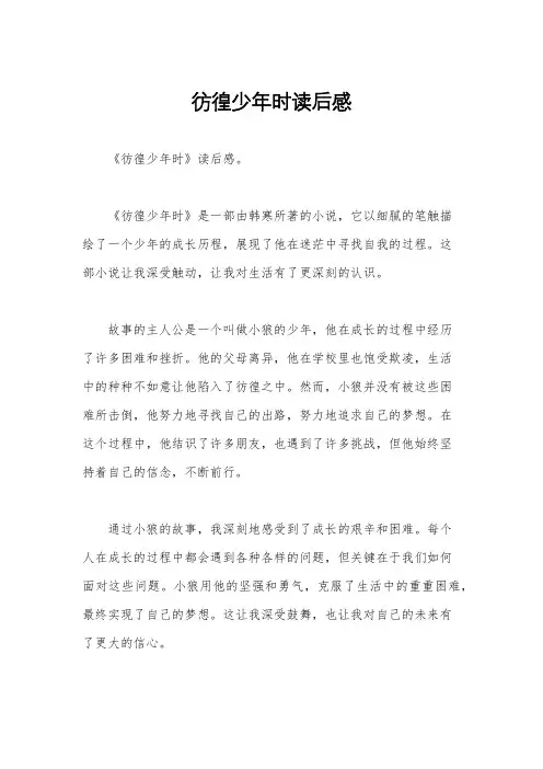 彷徨少年时读后感