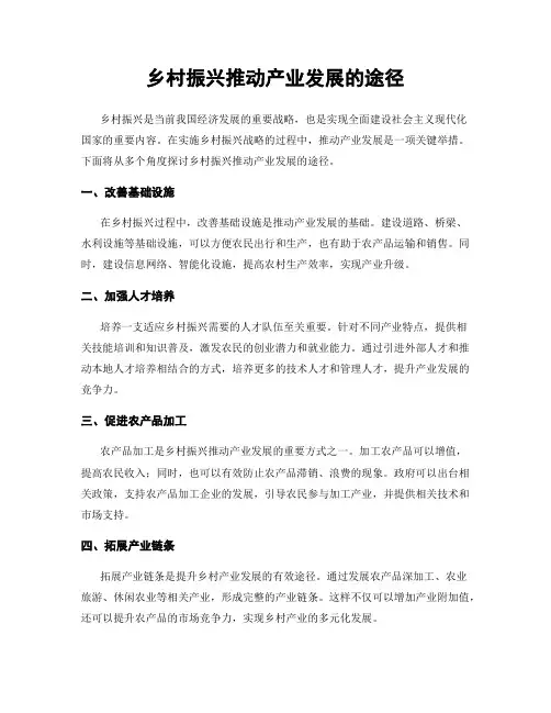 乡村振兴推动产业发展的途径