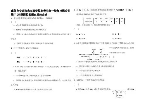 高考生物一轮复习 7.基因控制蛋白质的合成课时训练