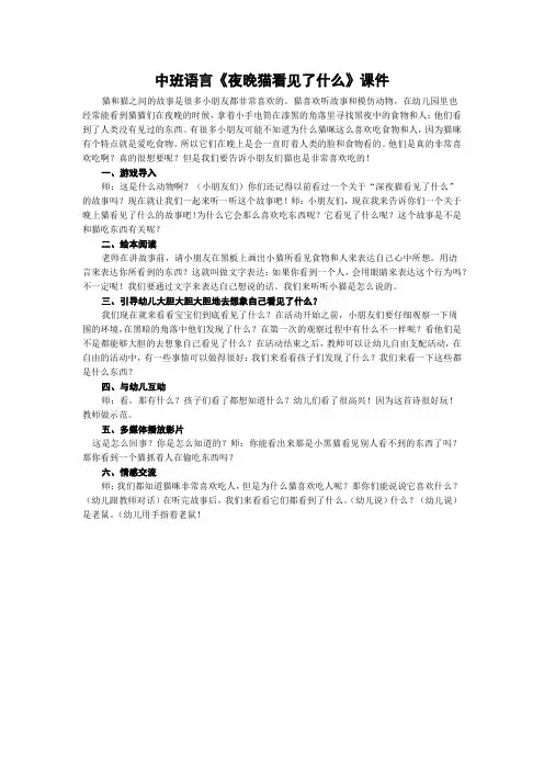 中班语言《夜晚猫看见了什么》课件