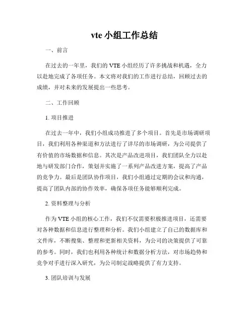 vte小组工作总结