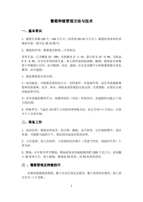 葡萄种植管理方法与技术