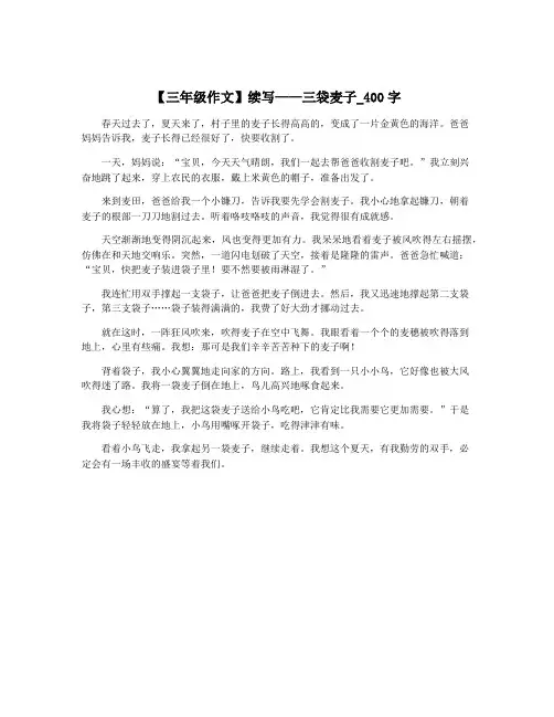 【三年级作文】续写——三袋麦子_400字