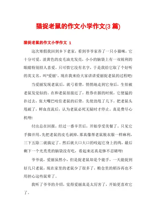 猫捉老鼠的作文小学作文(3篇)