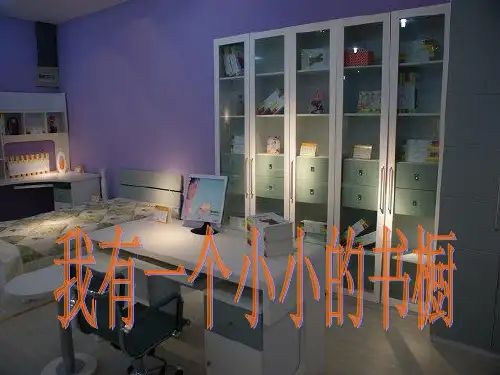 四年级上册语文课件- 11《我有一个小小的书橱》｜冀教版 (共18张PPT)