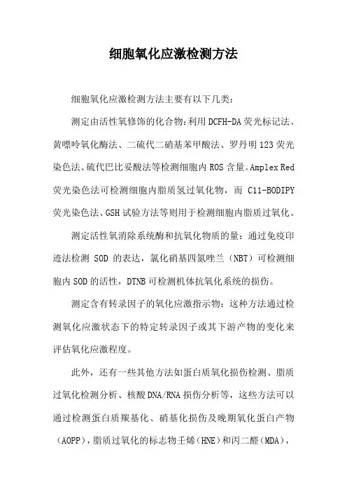 细胞氧化应激检测方法