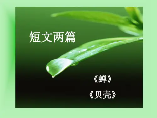 短文两篇蝉贝壳