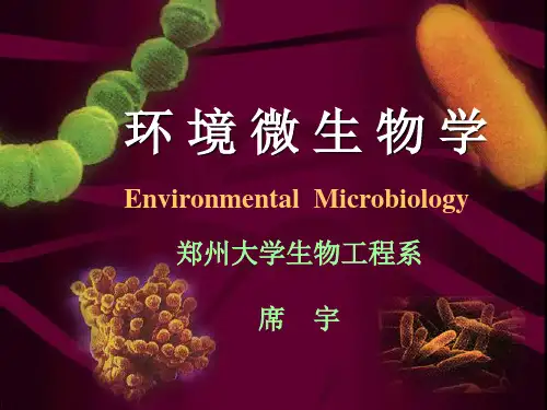 席宇《环境微生物学》13环境微生物学讲义