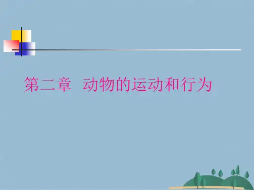 八级上生物《动物的运动》ppt课件(共49张PPT)