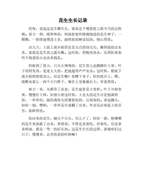 花生生长记录作文