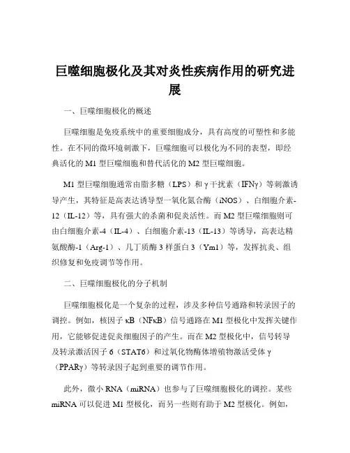 巨噬细胞极化及其对炎性疾病作用的研究进展