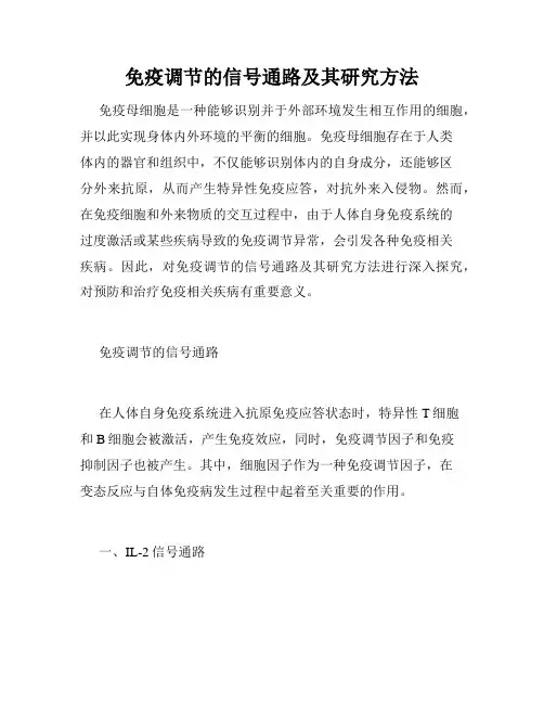 免疫调节的信号通路及其研究方法