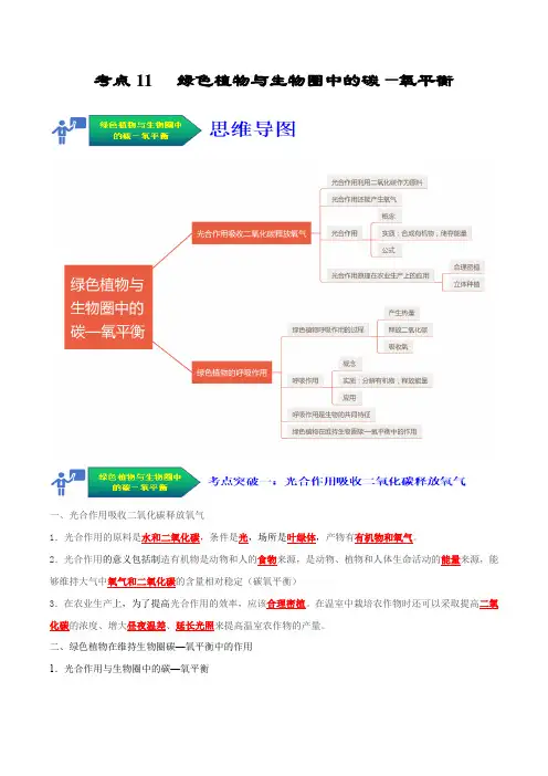 考点11 绿色植物与生物圈中的碳—氧平衡-2024-2025学年七年级生物上册同步核心考点归纳与分层