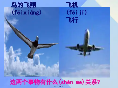 八年级科学上册第3章第4节动物的行为课件浙教版