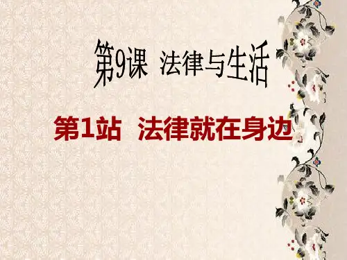 法律与生活PPT教学课件
