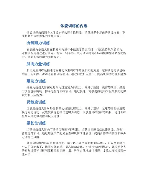 体能训练有哪些内容