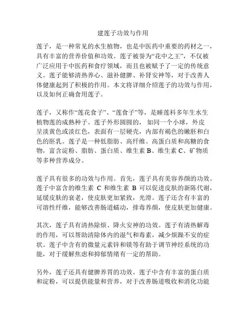建莲子功效与作用