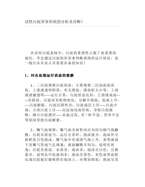 活性污泥异常形状的分析及诊断