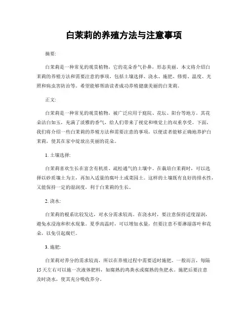白茉莉的养殖方法与注意事项